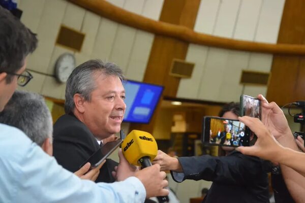 Pérdida de investidura en el “freezer” - Política - ABC Color