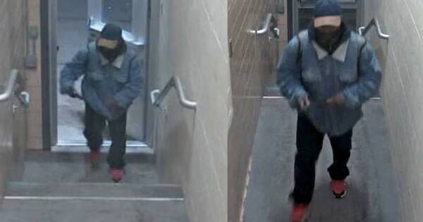 La Nación / EEUU: tirador solitario causa tres muertes en universidad de Michigan