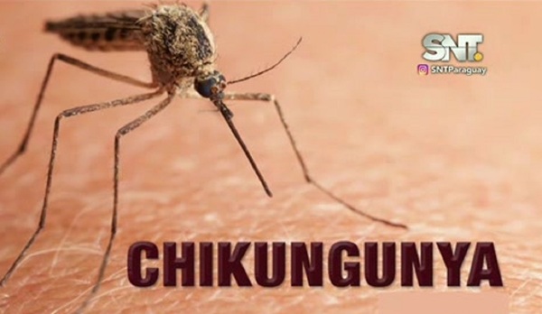 Consultorio con la Dra. Isabel Nel sobre la chikungunya - SNT