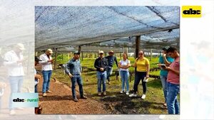 Senave realizó capacitación en Yerba Mate   - ABC Rural - ABC Color