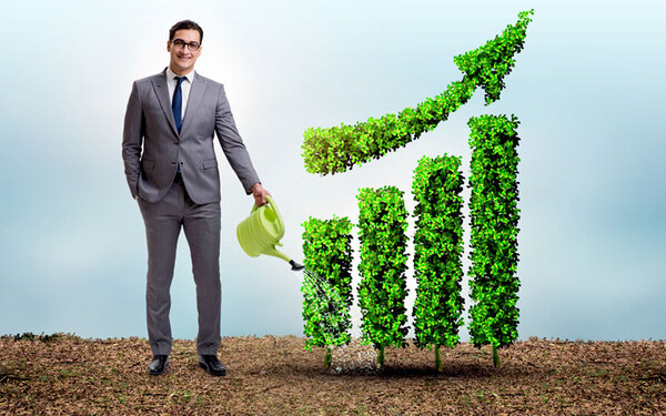 El estado actual del rol de los Chief Sustainability Officers | Columnas | 5Días