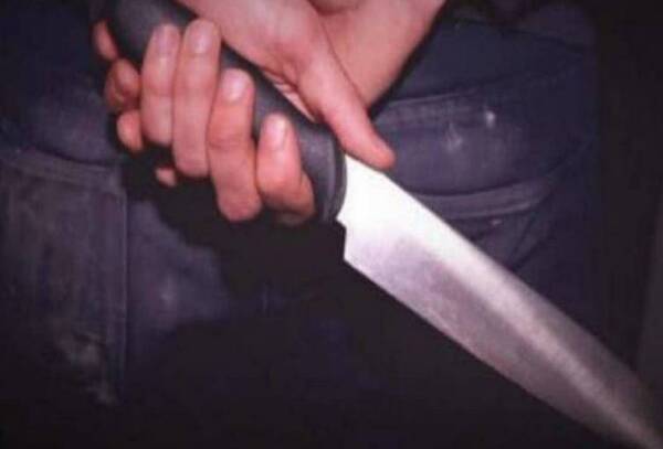 Firulais le mordió y mató al dueño del animal