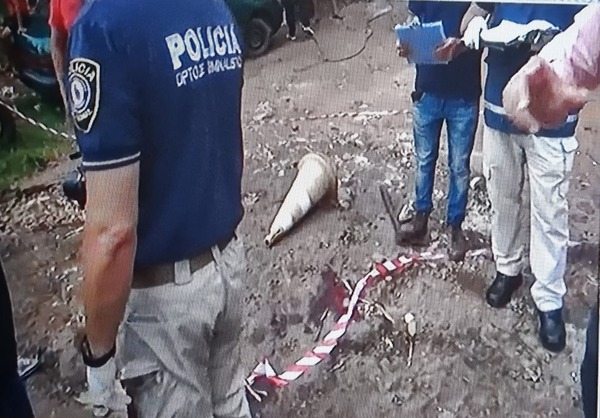 Taxista asesina a reciclador en Presidente Franco | 1000 Noticias