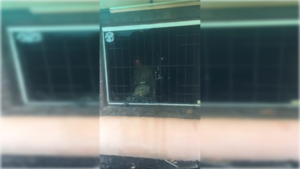 Incendio en una vivienda: hermanas quedaron atrapadas y murieron anga