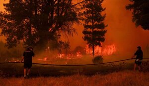 El Gobierno de Chile informó que hay unos 300 incendios activos en el país - .::Agencia IP::.