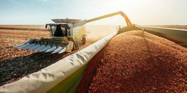 Precios de la soja podrían mantenerse al alza debido a las pérdidas en la cosecha argentina.