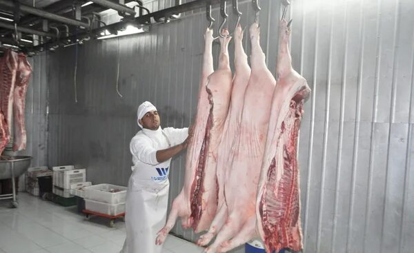 Importadores taiwaneses degustarán carne de cerdo paraguaya - Economía - ABC Color