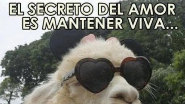 Explotan los memes por el Día de los Enamorados