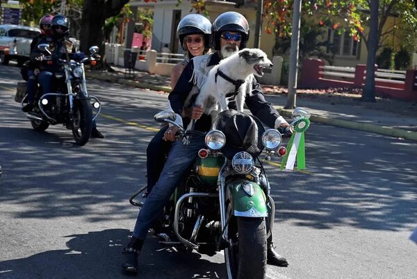 Aficionados en Cuba mantienen vivo el mito de las Harley-Davidson - Viajes - ABC Color