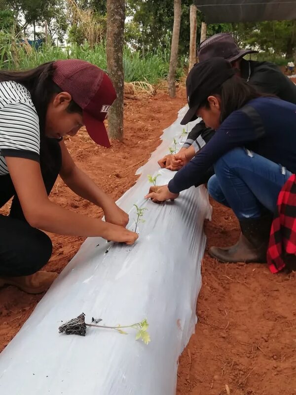 Tras críticas a recortes, ministro recibe a representantes de escuelas agrícolas - Economía - ABC Color