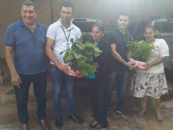 Gobernación inició la entrega de cinco mil plantines a productores de Amambay - Radio Imperio