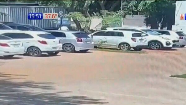 Tortoleros hacen de las suyas en estacionamiento de IPS Central