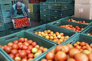 El FMI recomienda a Colombia mantener las políticas contractivas contra la inflación - MarketData