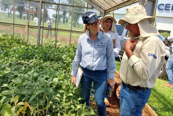 Inbio trabaja en el desarrollo de soja tolerante a la sequía - Nacionales - ABC Color