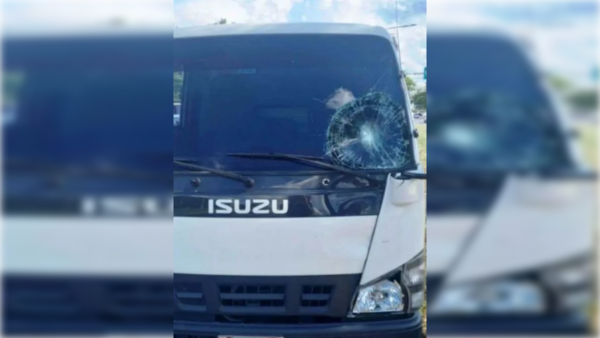 Auriculares de la muerte: cruzó distraída y la arrolló un camión