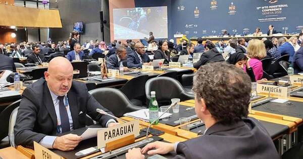 La Nación / Paraguay prioriza acceso a mercados ante el Grupo de Cairns