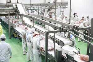 Primeras 72 toneladas de carne porcina enviadas a Taiwán marcan un hito de varios envíos, afirma el MAG.
