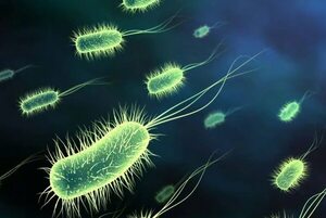 ONU alerta sobre la “pandemia silenciosa” generada por las superbacterias - Mundo - ABC Color