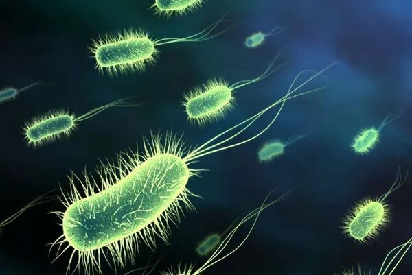 ONU alerta sobre la “pandemia silenciosa” generada por las superbacterias - Mundo - ABC Color