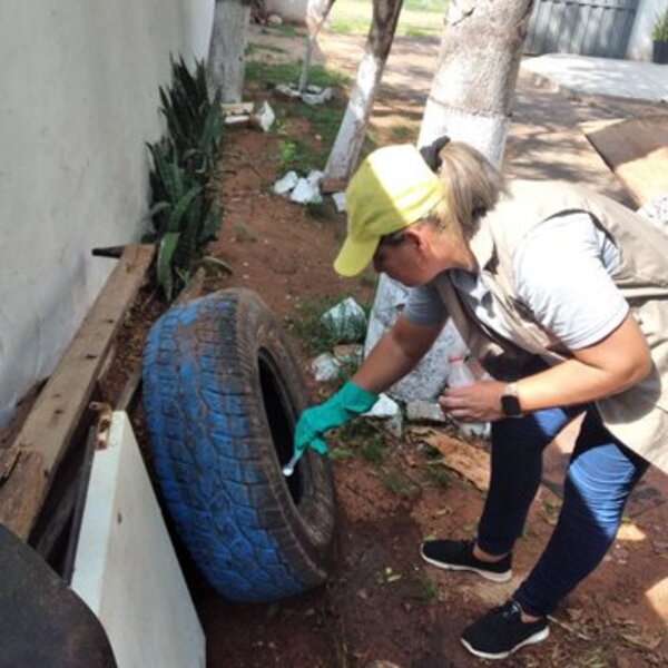 Casos de chikungunya y dengue en sostenido aumento: Senepa fumiga en 5 distritos de Central - ADN Digital