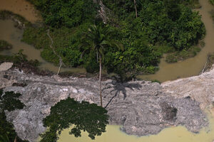Brasil lanza una operación contra la minería en una conflictiva región de la Amazonía - MarketData