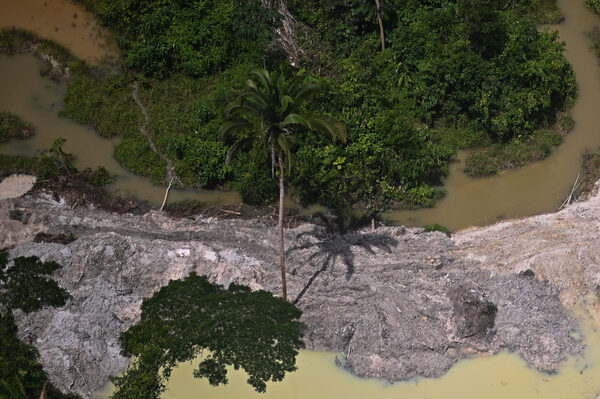 Brasil lanza una operación contra la minería en una conflictiva región de la Amazonía - MarketData