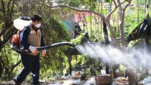 Senepa sigue con minga ambiental para combatir dengue y chikungunya