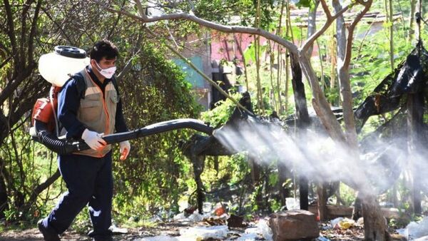 Senepa sigue con minga ambiental para combatir dengue y chikungunya