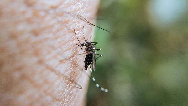 Era de esperarse: aumento de casos de chikungunya dispara venta de insecticidas y repelentes
