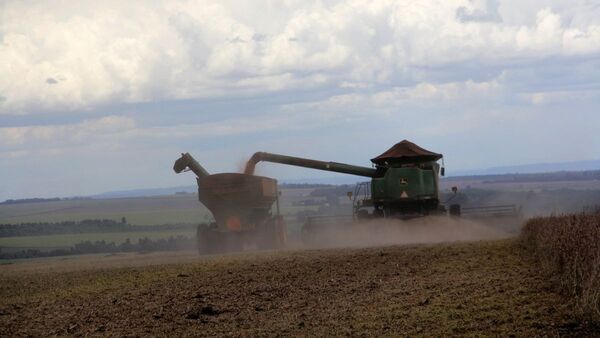 Cosecha de soja arroja picos de 4.000 kilos por hectárea