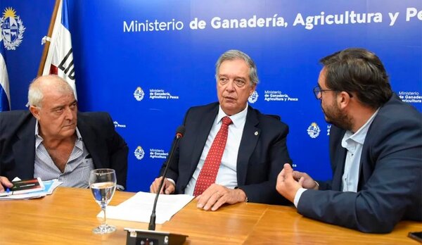 Uruguay decretó la emergencia sanitaria por la aparición de la gripe aviar - .::Agencia IP::.