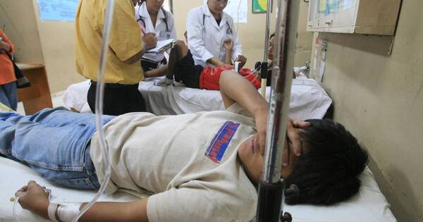 La Nación / Bolivia registra 26 fallecidos en ola creciente de dengue