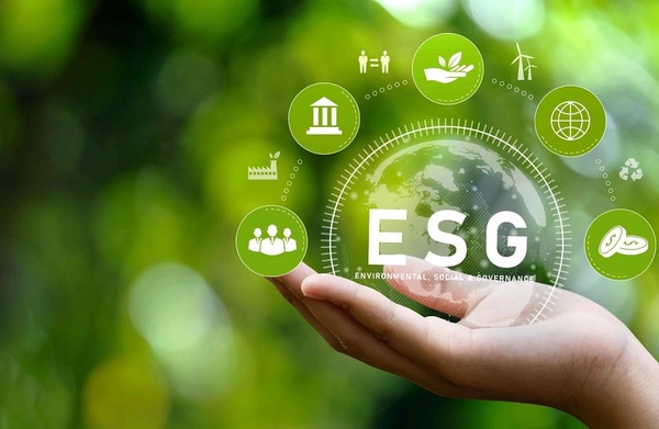 ¿Estás listo para la revolución de ESG? | Columnas | 5Días