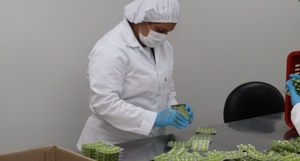 Exportaciones de fármacos alcanzaron USD 95,8 millones al cierre del 2022