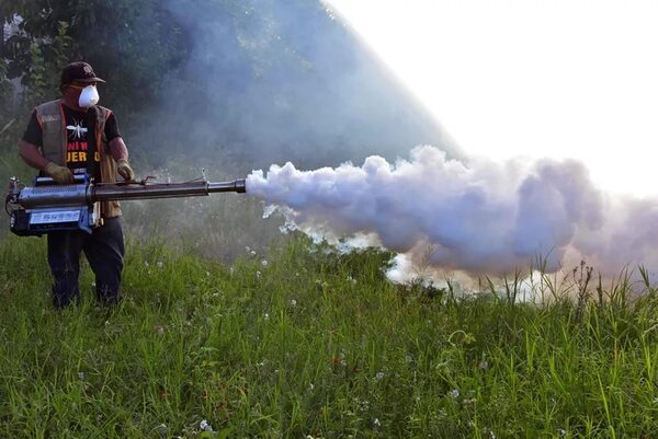 Chikunguña: “No estamos trasladando responsabilidad a la ciudadanía”, afirman desde Senepa - Nacionales - ABC Color
