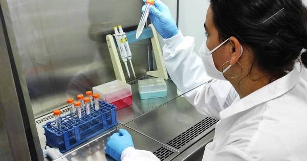 La Nación / Salud registra 13 casos de leishmaniasis en humanos este año