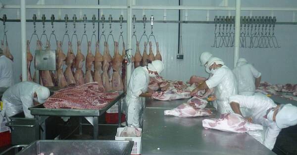 La Nación / Descartan desabastecimiento de carne porcina en el mercado local tras nuevos envíos