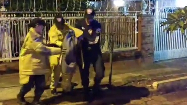 Yacaré salió de paseo y alarmó a todo un vecindario - Noticias Paraguay