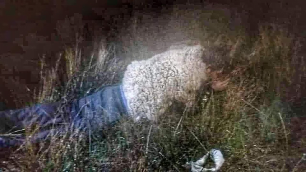 Un preso intentó escapar de la cárcel disfrazado de oveja - Noticiero Paraguay