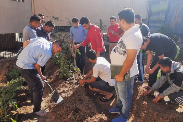 Internos cultivan sus propias hortalizas orgánicas en el penal de Emboscada