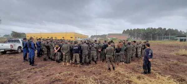 SENAD y la Policía Nacional anularon 244 toneladas de marihuana en Canindeyú