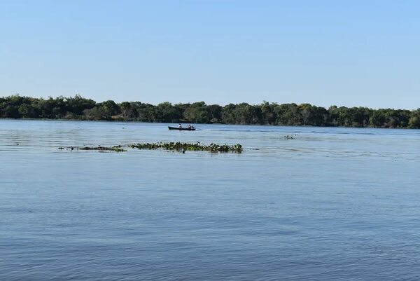 Tras repunte del río Paraná, plantas acuáticas afectan a pescadores de Ayolas - Nacionales - ABC Color