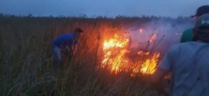 Laureles, acorralado por el fuego - Nacionales - ABC Color
