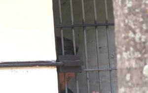 Liberaron al ''Rey de los tortoleros'' - C9N