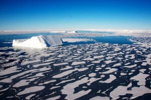 La extensión del hielo marino antártico registra un nuevo mínimo histórico