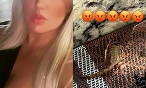 Lilian Ruíz denuncia que alacrán vino con una piña que compró y picó a su niñera