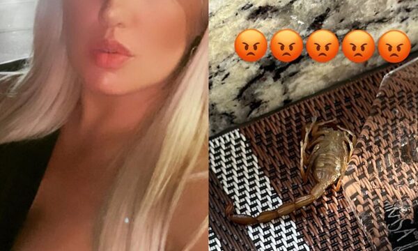 Lilian Ruíz denuncia que alacrán vino con una piña que compró y picó a su niñera