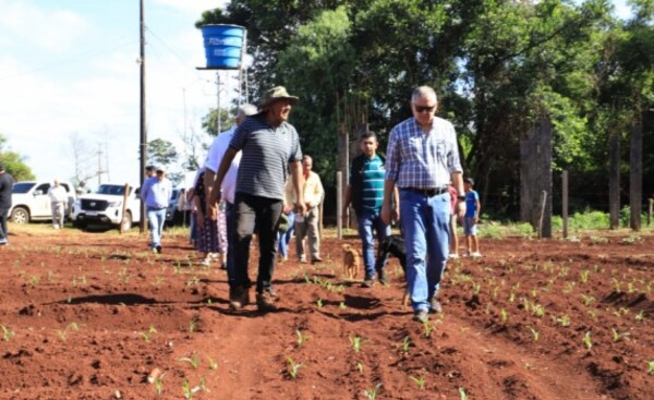 MAG verifica cultivos de productores de Alto Paraná