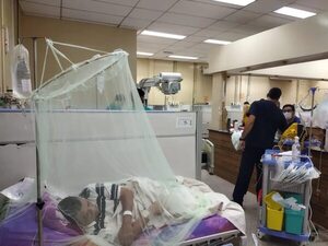 Chikunguña: advierten sobre fallas renales en casos más graves - Nacionales - ABC Color