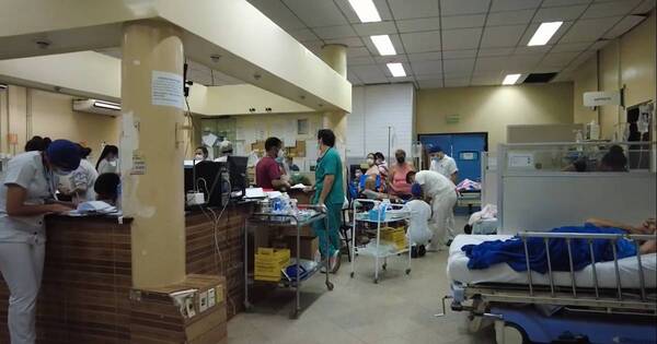 La Nación / Chikungunya: “Estamos ante un pico preocupante, ascendente en consultas e internaciones”